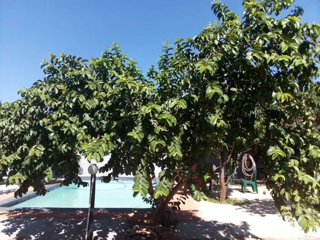 Belle Vue Bed & Breakfast Palapye エクステリア 写真